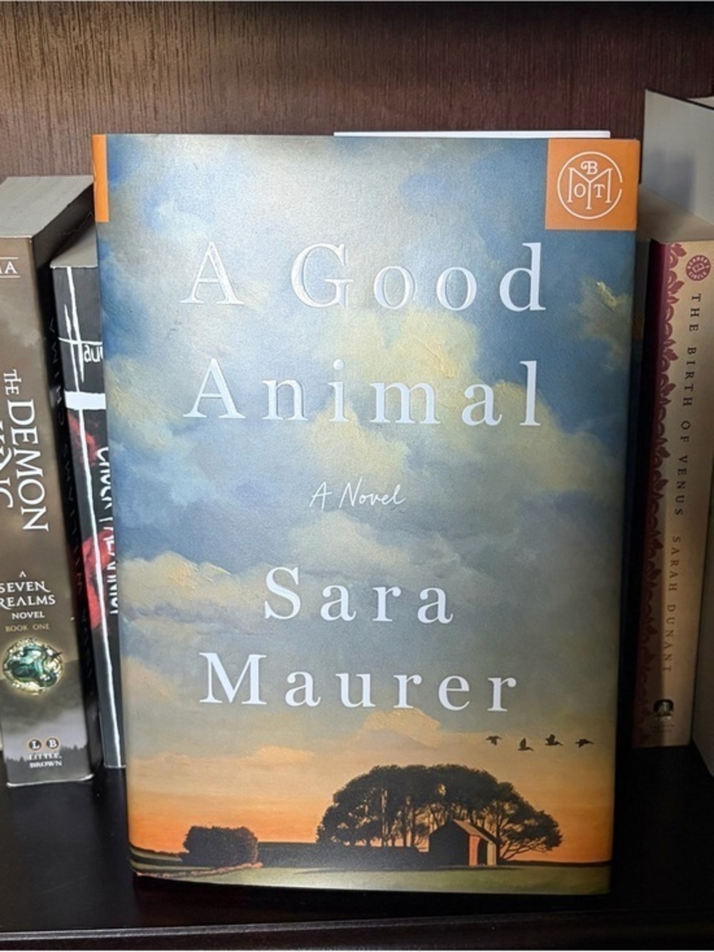 A Good Animal by Sara Maurer